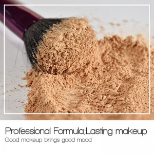 Waterdichte doorschijnende olie controle settin los poeder