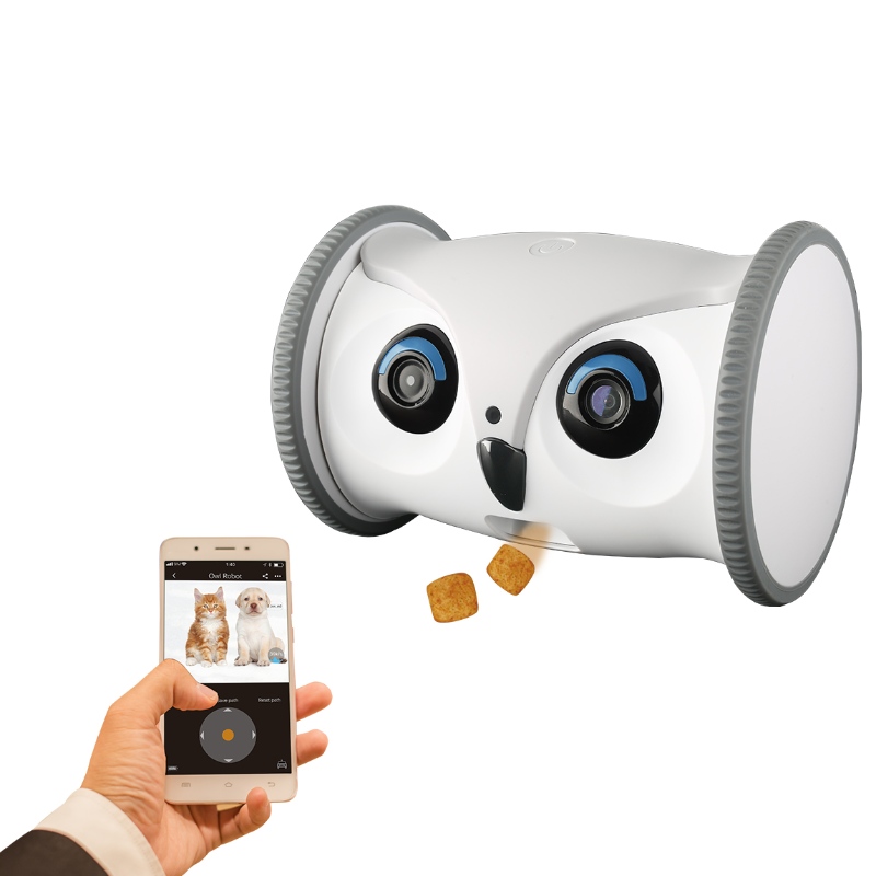 Smart Owl Robot Sitter