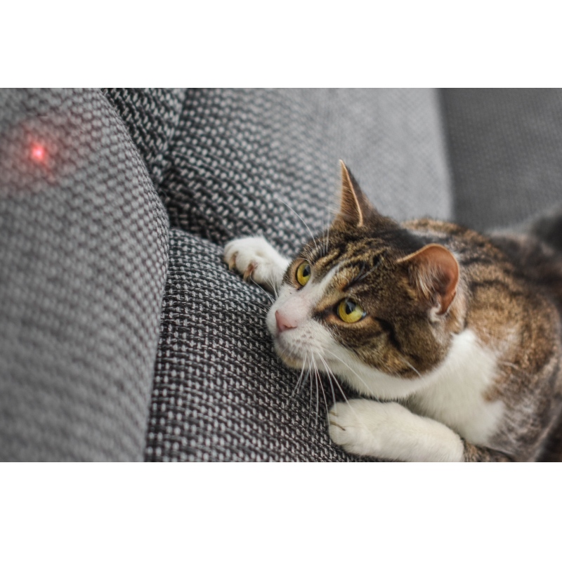 Slimme laserkat treater