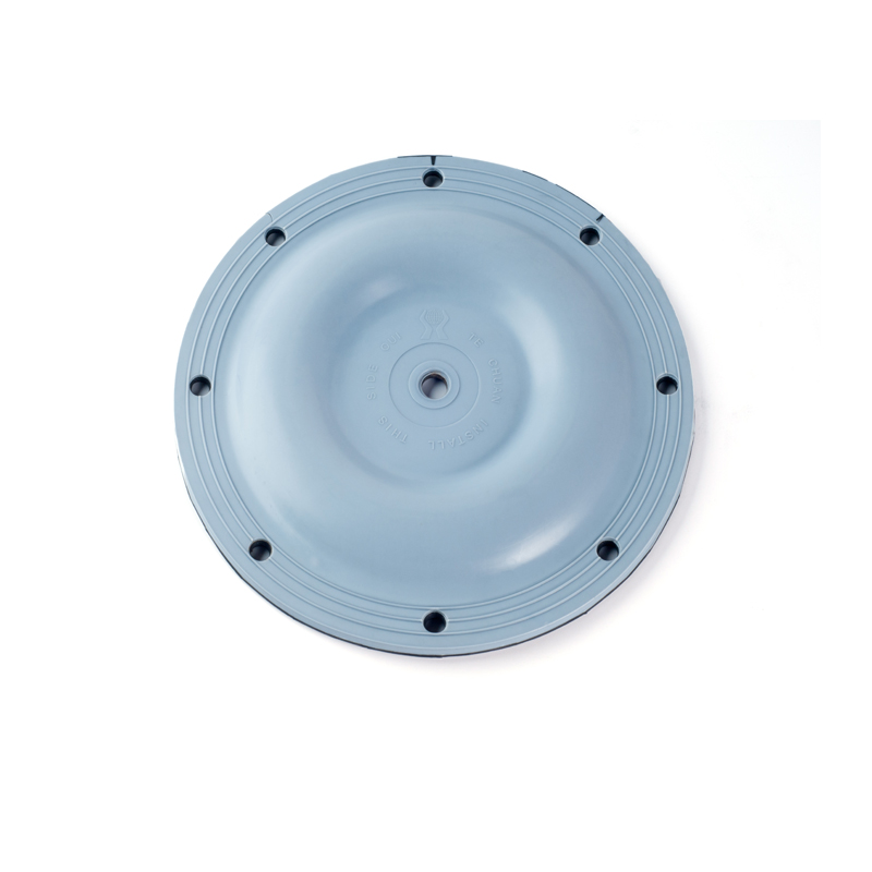 Fabrikant Pneumatische Pomp Rubber Diafragma PTFE Diafragma Voor Regulator Pneumatische Accessoires Onderdelen