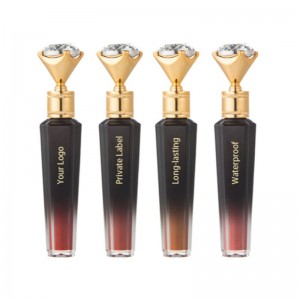 Nieuwe materiële lipgloss