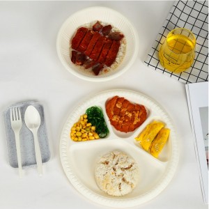 PLA Materiaal Composteerbare Wegwerp Voedselcontainer