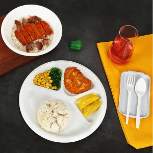 PLA Materiaal Composteerbare Wegwerp Voedselcontainer