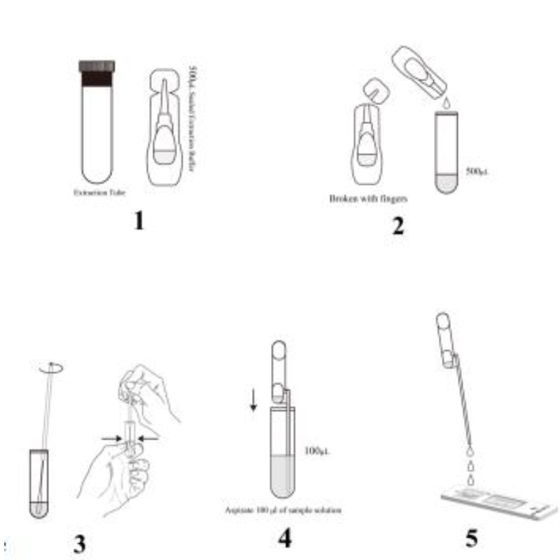 SARS-COV-2 antigeen Rapid Test Kit (TIME-opgeloste fluorescentie)