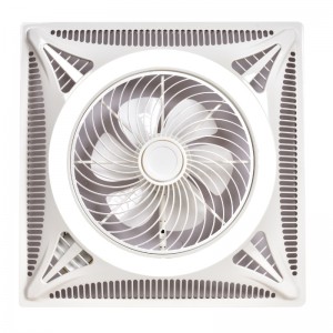 Ventilatorlicht FL A WTBG40 598