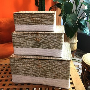 Zeewier geweven doos met overdekte opslag