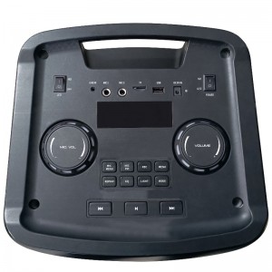 FB-PS210 Design Bluetooth Party Speaker met RGB LED Flame Light