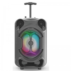 FB-PS816 Tailgate Bluetooth Party Speaker met LED-verlichting