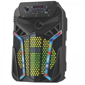 FB-PS630 Bluetooth Party Speaker met LED-verlichting