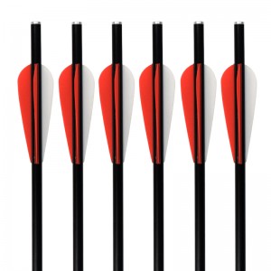 ELONG OUTDOOR 117011 16INCH OD8MM 8031 ​​Glasvezelbouten Boogschieten Jagen met Crossbow Bolt