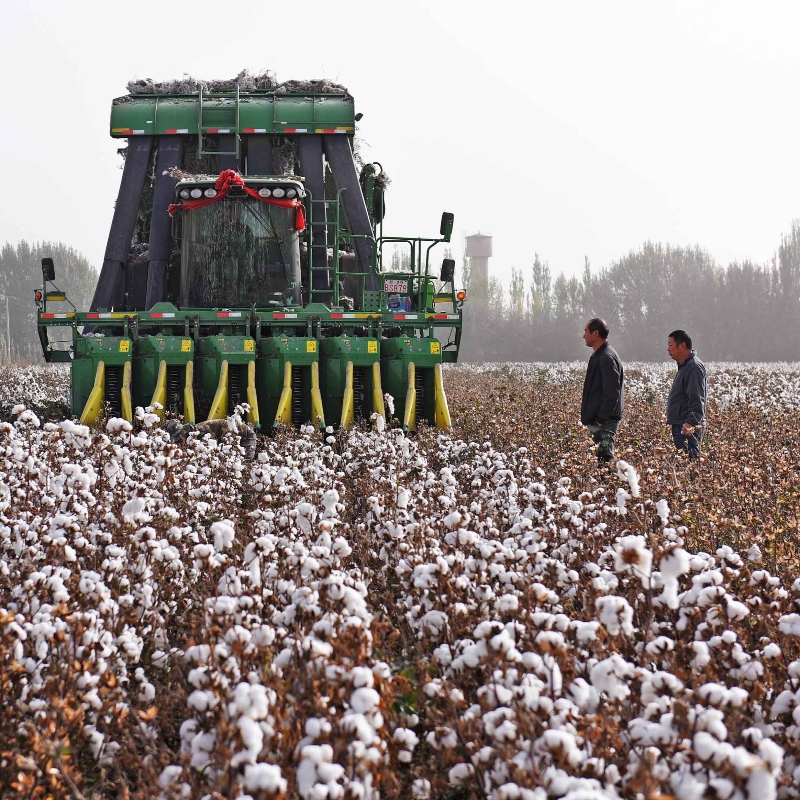 Levis stopt met BCI-bord over Xinjiang