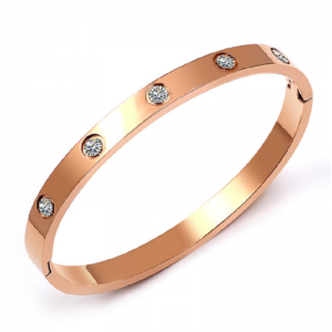 Verse koude lucht titanium stalen armband