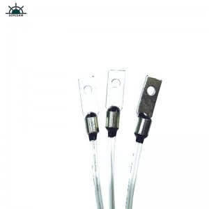 China Factory OEM Personaliseer B WAARDE 4050K 10K OHM NTC Thermistor Temperatuursensor voor 3D Print Machine