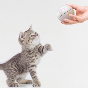 Interactive Laser Cat Ball Toys
