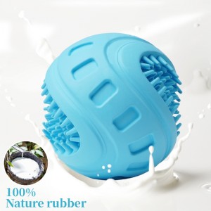 HOND TIJDENSCHAPPELIJKE PLAATSELIJKE TOELEN