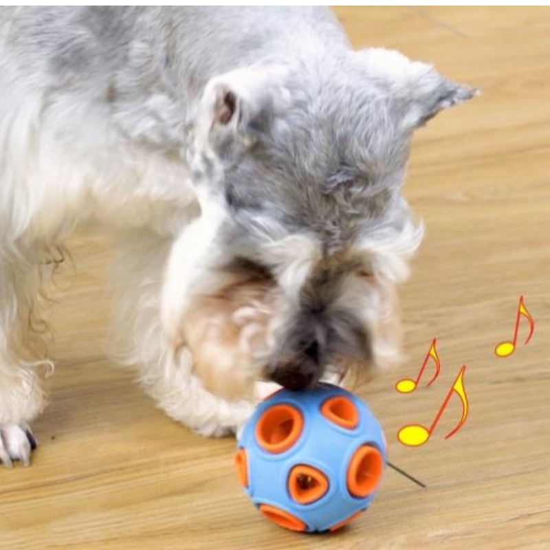 Led drijvend hond speelgoed