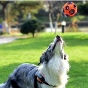 Led drijvend hond speelgoed