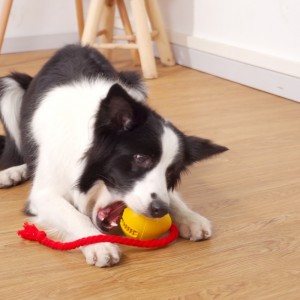 Rubberen lekkende snackhondstuk speelgoed
