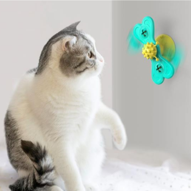Kat windmolen speelgoed grappige massage roteerbare kat speelgoed met catnip bal tanden reiniging huisdier Producten