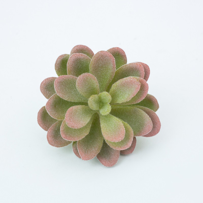 Mini-kunstmatige succulente planten