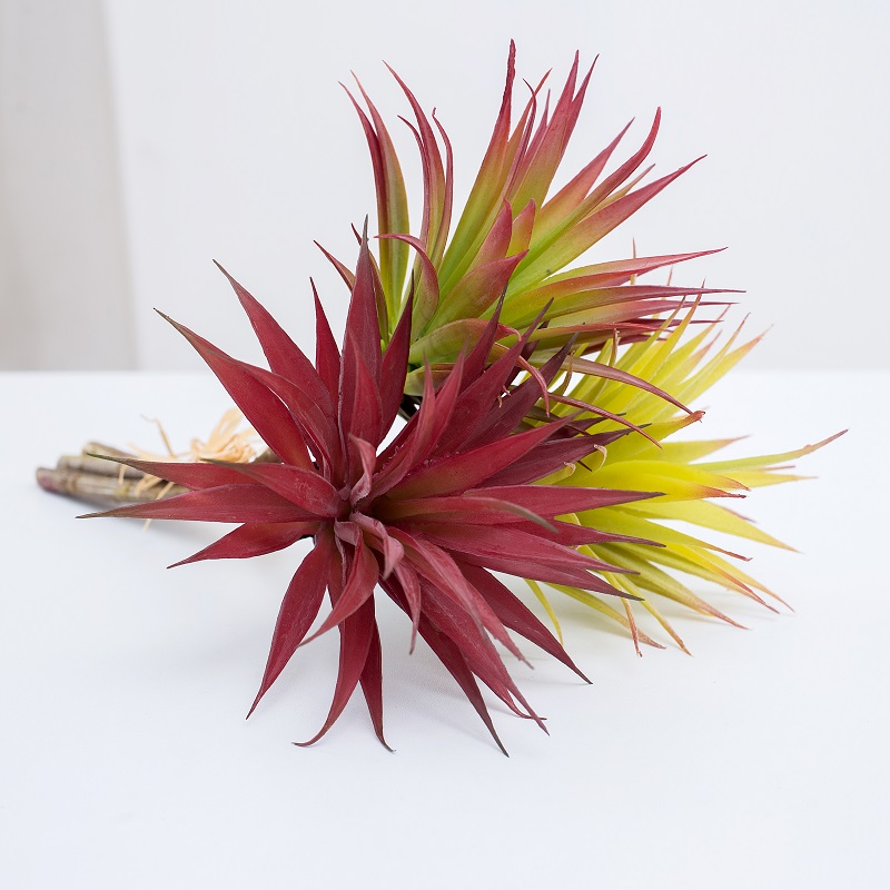 enkele tak kunstmatige succulent