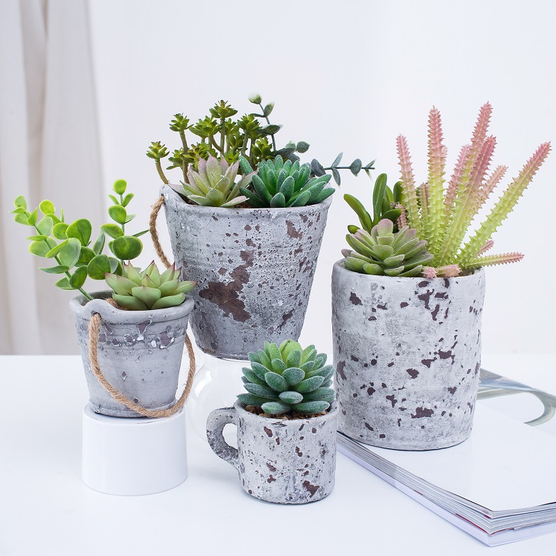 Nieuw ontworpen ingemaakte kunstmatige succulente plant succulent in cementpot