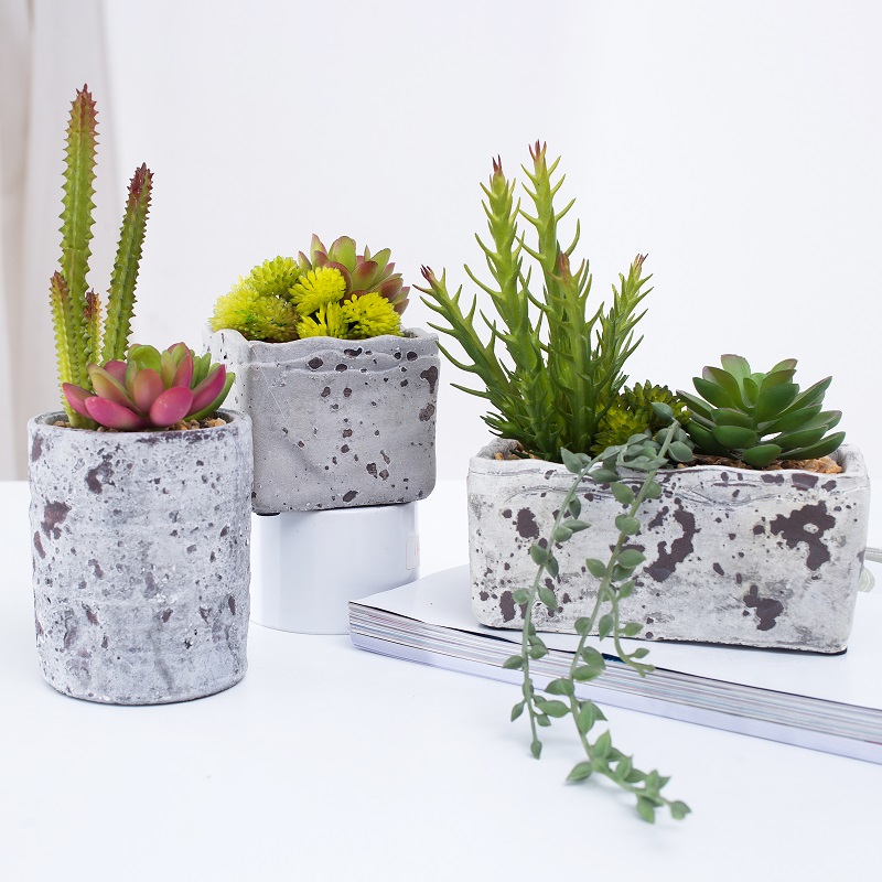 Nieuw ontworpen ingemaakte kunstmatige succulente plant succulent in cementpot
