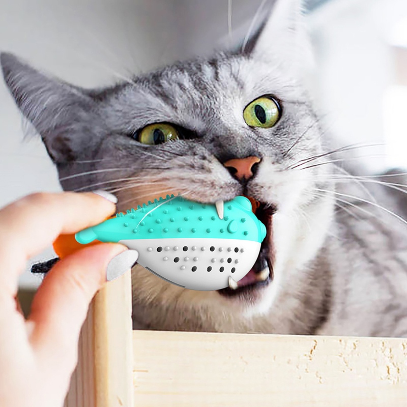 Furjoyz groothandel grappige huisdier speelgoed tandenborstel interactieve speelgoed draagbare kat intelligente schone tanden rubberen catnip kat speelgoed