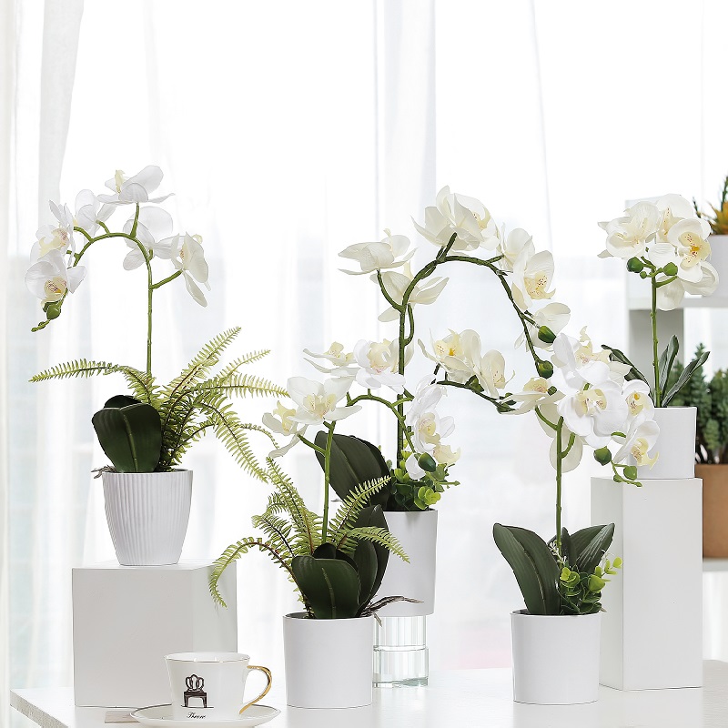 Heet verkoop real touch ingemaakte kunstmatige orchidee