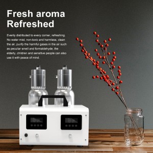 DW-8000Double Verdering Hoofd Aroma Diffuser