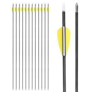 Elong Outdoor 121125 ID3.2mm Pure Carbon Arrow 32 \\\\ \'\\\\\' boogschieten koolstofpijlen voor doelschieten en oefenen