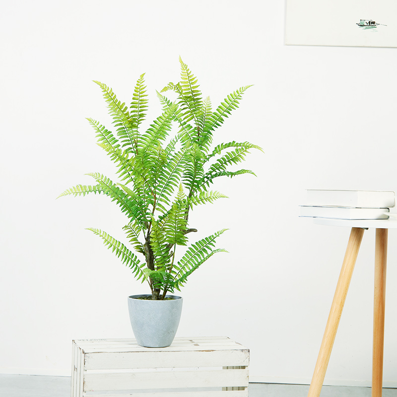 Groene planten, kunstmatige boom voor binnen openlucht huisdecoratie, winkelcentrum decoratie