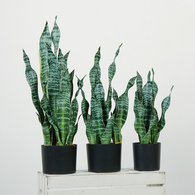 Hot Sale Green Indoor Home Plastic Kunstplanten Decoratief voor Woonkamer