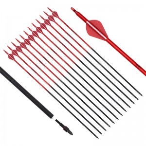 Elongarrow 115538 30 \\\\ \\\