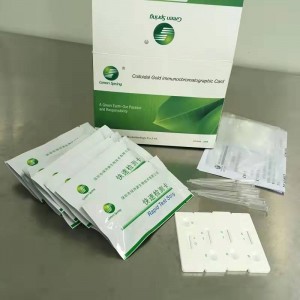 Medical Covend-19 Antigeen Rapid Test Kit