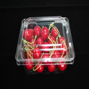 Clamshell voedselverpakking