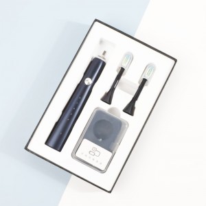 Haole OEM Type C Oplaadbare vervangende hoofden Private Label Automatische Sonic Elektrische tandenborstel