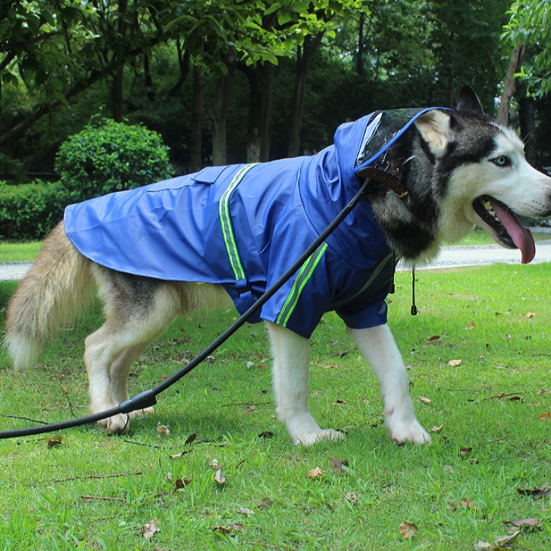 China Bron Fabriek 2022 Nieuwe Upgrade Hond Regenjas Hond Waterdichte Kleding Hondkleding