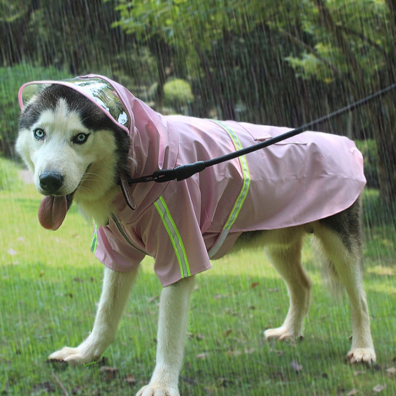 China Bron Fabriek 2022 Nieuwe Upgrade Hond Regenjas Hond Waterdichte Kleding Hondkleding