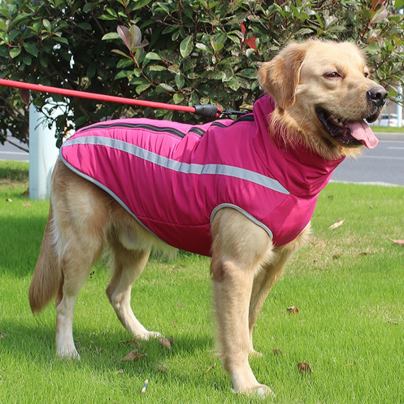 Amazon Top verkoper gepersonaliseerde hond harnas hond kleding reflecterende adem voor middelgrote en grote honden
