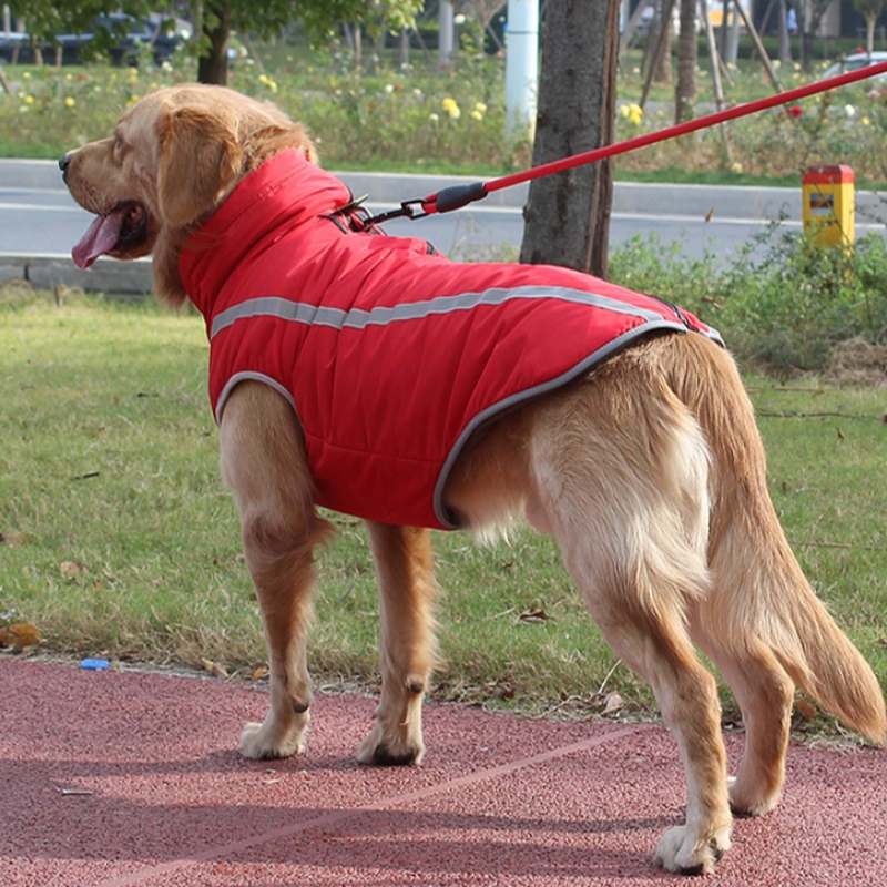 Amazon Top verkoper gepersonaliseerde hond harnas hond kleding reflecterende adem voor middelgrote en grote honden