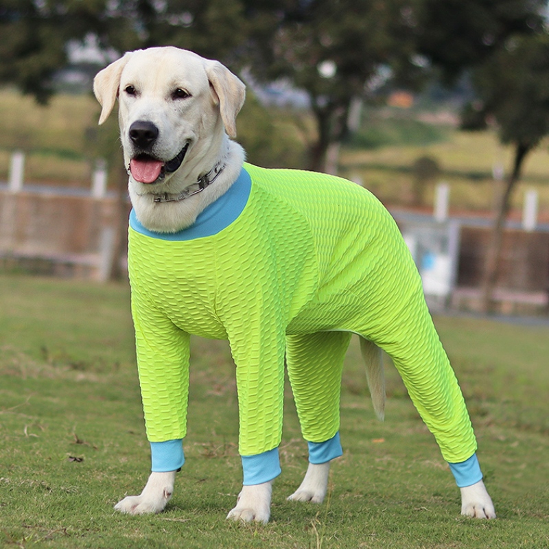 Mooie en duurzame puppyborstriem, hond borst harnas, hond kleding in een betaalbare prijs