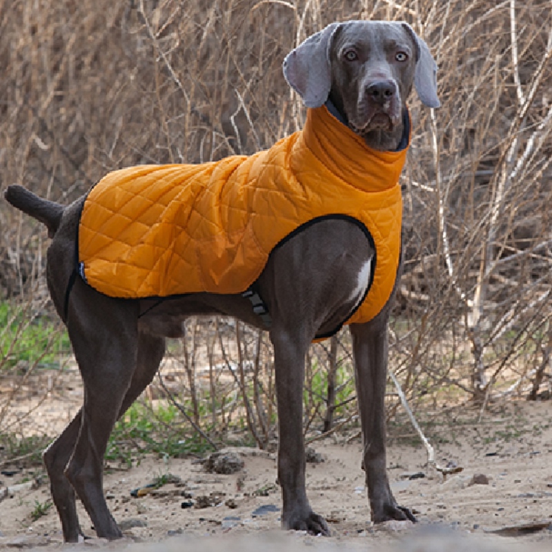 Amazon hot koopnieuwe huisdier kleding hondenkleding herfst en winter verdikte elastische trui huisdier trui