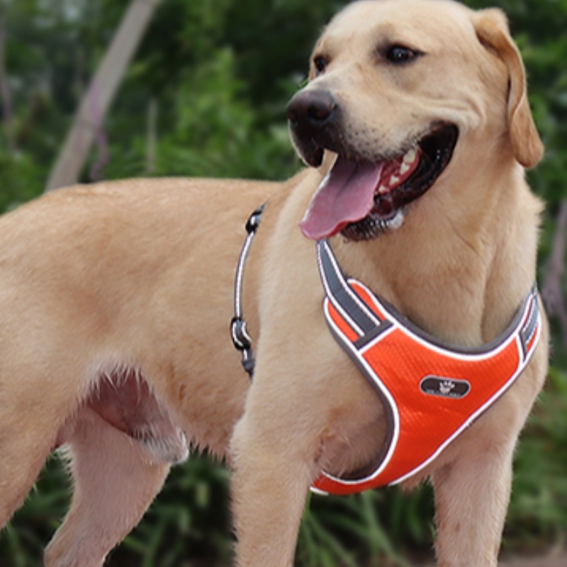 Groothandel OEM vervaardiging custom high end hond harnas luxe huisdier hond reversibele harnas reflecterende hond harnas