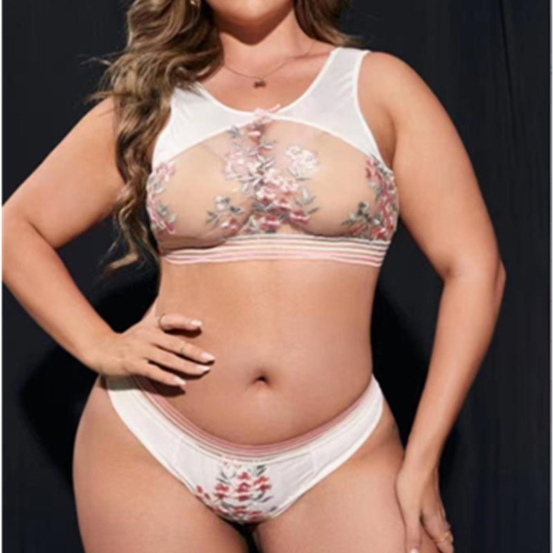 Regenboogstrepen borduurwerk bloemen lingerie set transparante beha's comfortabele vrouw lingerie