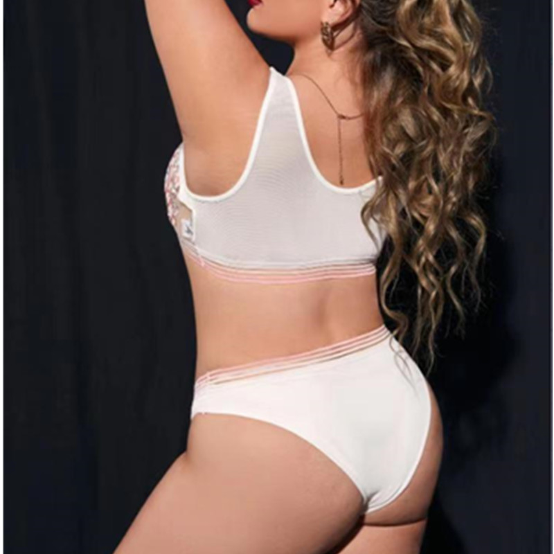 Regenboogstrepen borduurwerk bloemen lingerie set transparante beha's comfortabele vrouw lingerie
