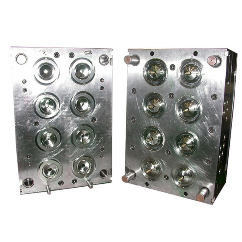 Plastic injectie schimmel-medisch