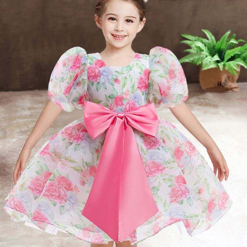 Baigenieuwe mode trouwfeest prinses peuter babymeisjes kleren kinderen babymeisjes jurken