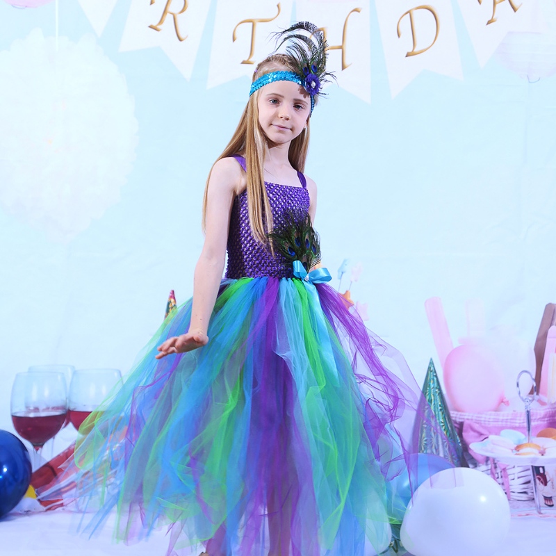 Kinderen zijn herfstjurk Peacock Feather Mesh Rok Baby Princess Rok Tutu -jurk