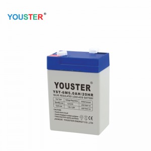 Youster loodzuurbatterij 6V 5.0AH -batterijgebruik voor verlichting/ups/cctv/Home Appliance/solar/inverter